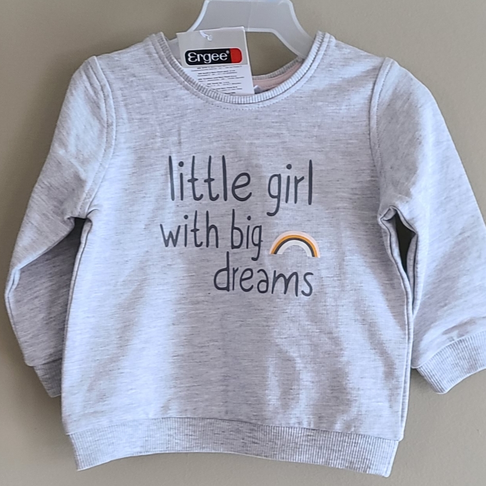 NWT light grey crew neck sweatshirt
